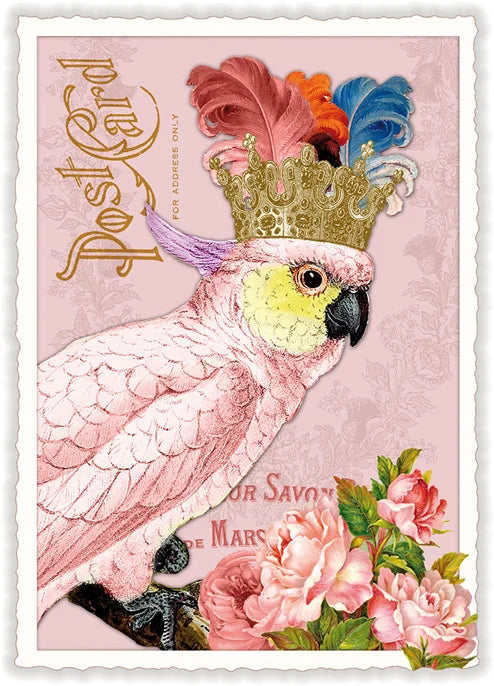 Cockatoo