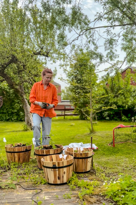 Loj stämning