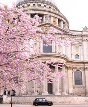 Ladda upp bild till gallerivisning, London in Bloom