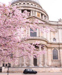 London in Bloom