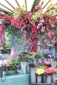 London in Bloom