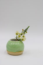 Ladda upp bild till gallerivisning, Grön