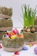 Load image into Gallery viewer, Äggskal Grön