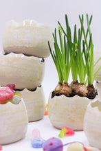 Load image into Gallery viewer, Äggskal Vit