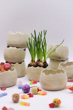 Load image into Gallery viewer, Äggskal Vit