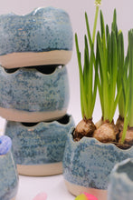 Ladda upp bild till gallerivisning, Äggskal Blå