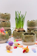 Load image into Gallery viewer, Äggskal Grön