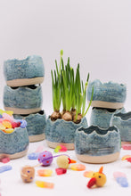 Ladda upp bild till gallerivisning, Äggskal Blå