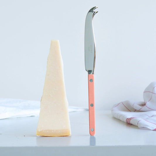 Sabre Paris Cheese Knife