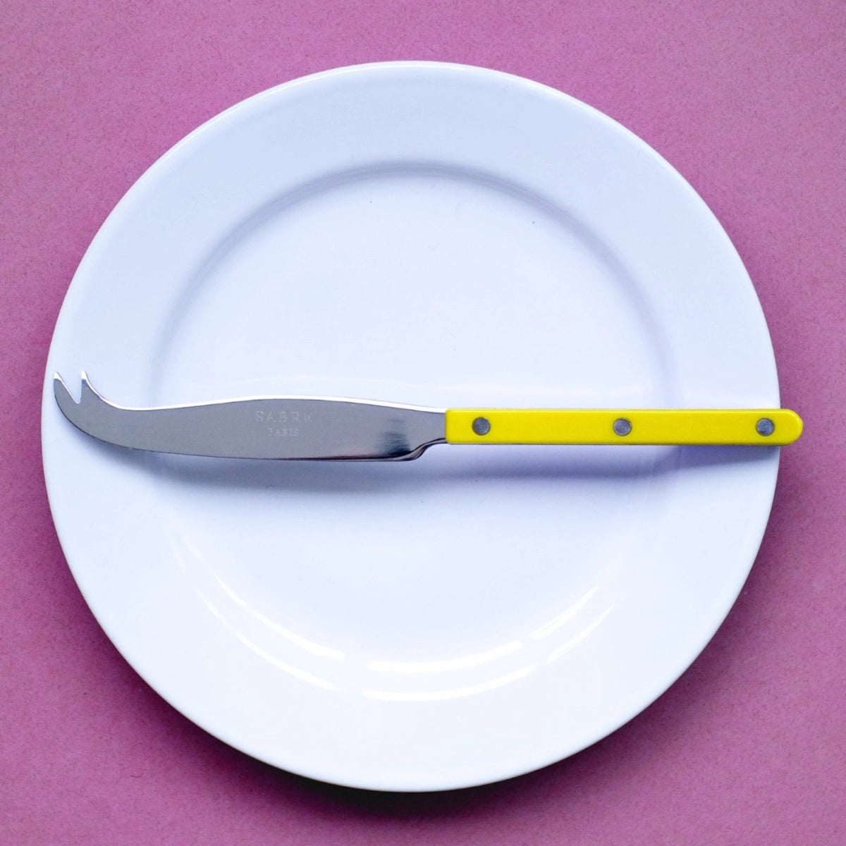 Sabre Paris Cheese Knife