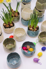 Ladda upp bild till gallerivisning, Äggskal Blå