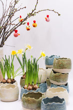 Load image into Gallery viewer, Äggskal Vit