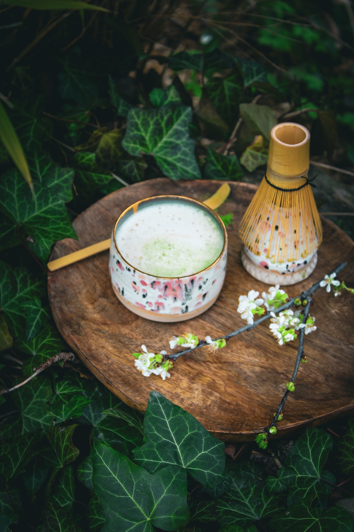 Matcha Visphållare